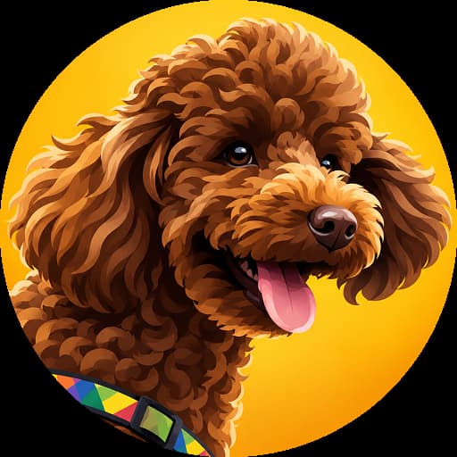 Chummy the Mini Poodle